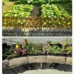 40 30cm Garden Cat Scat Mats Anti Dogs Repellent Mat Prickle Strips Net Spike Plastic Pet Anti-cat Sting - 3